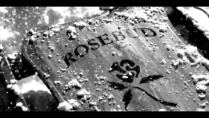 rosebud citizen kane 1686299322