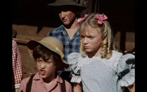 sean penn little house on the prairie 1