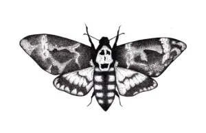 silence of the lambs moth 1686563920