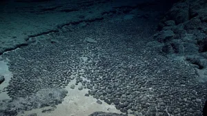 the youngest seafloor rocks are found 1 1