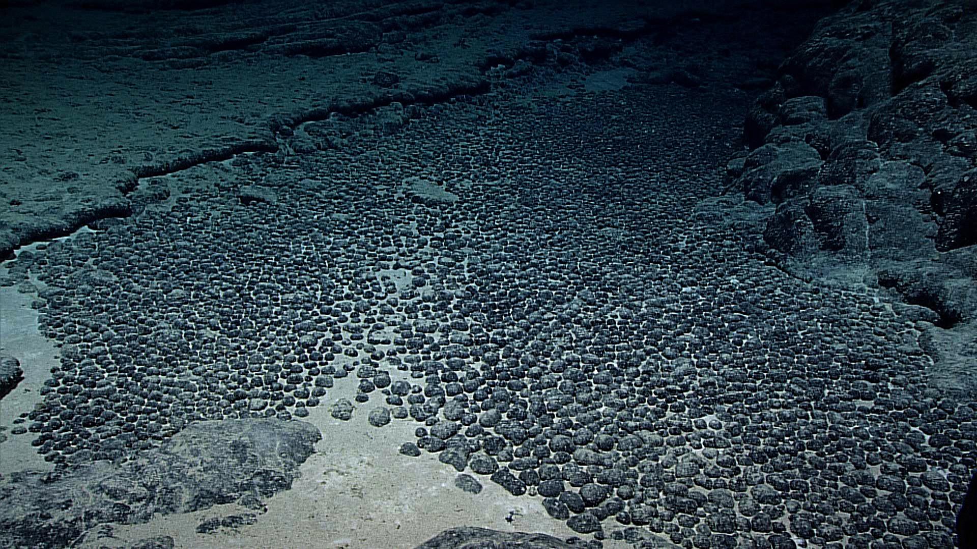 the youngest seafloor rocks are found_