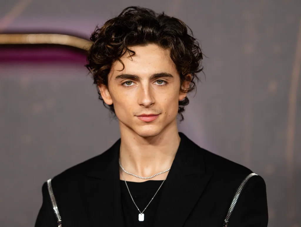 timothee chalamet 1687339032