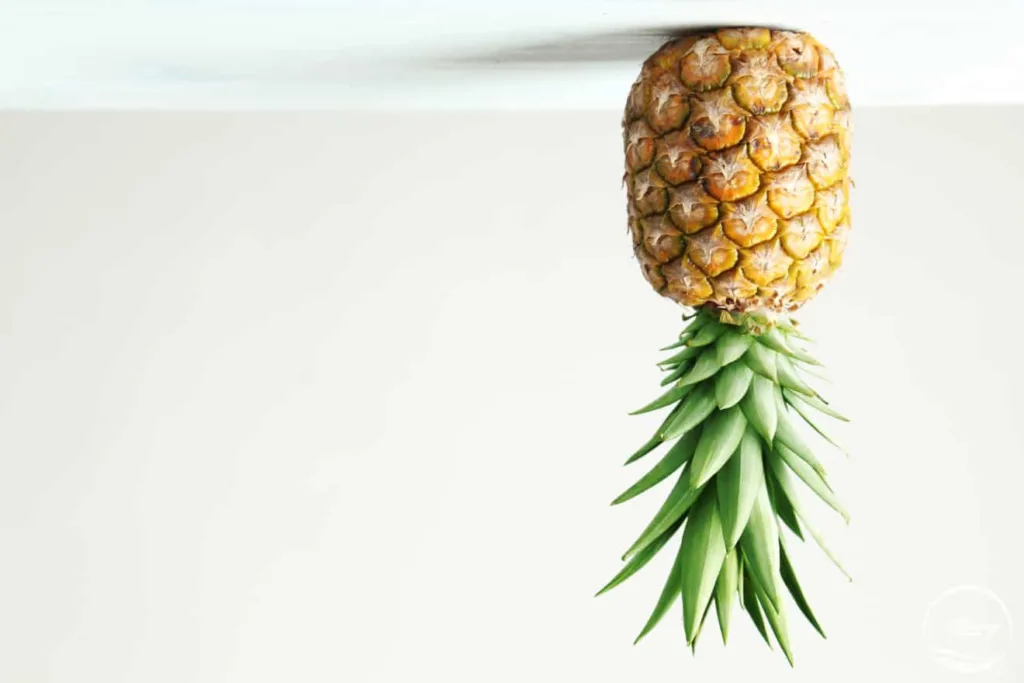 upside down pineapple swinger 1685694371