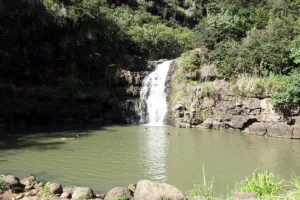 waimea falls 1687686475