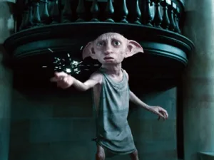 Dobby 1690191305