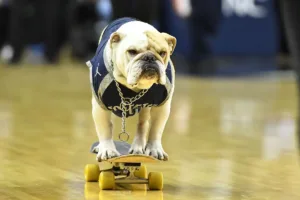 Georgetown Hoyas 1689496621