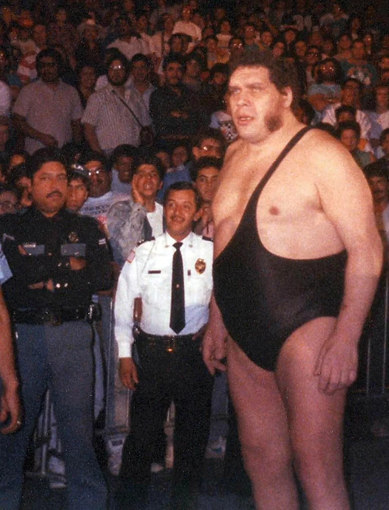 andre the giant 1688400397