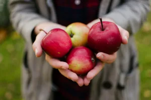 apples 1688555939