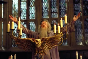 dumbledore 1689416890