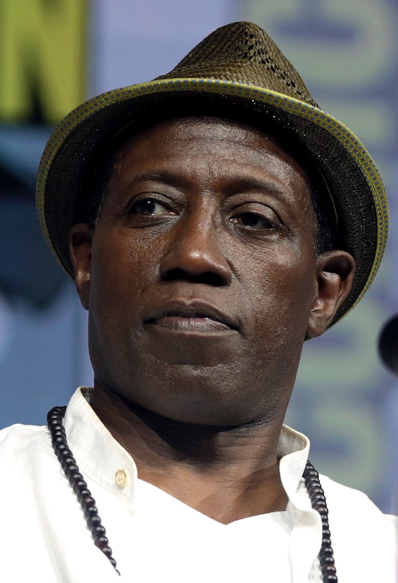 Wesley Snipes Achieves Mastery in the World of Martial Arts