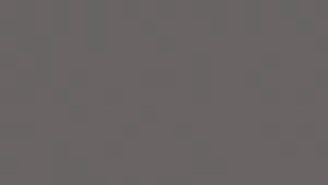 what color is charcoal 1 1