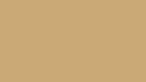 what color is fawn 1 1