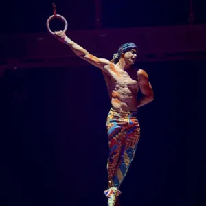 what do cirque performers get paid 1 1