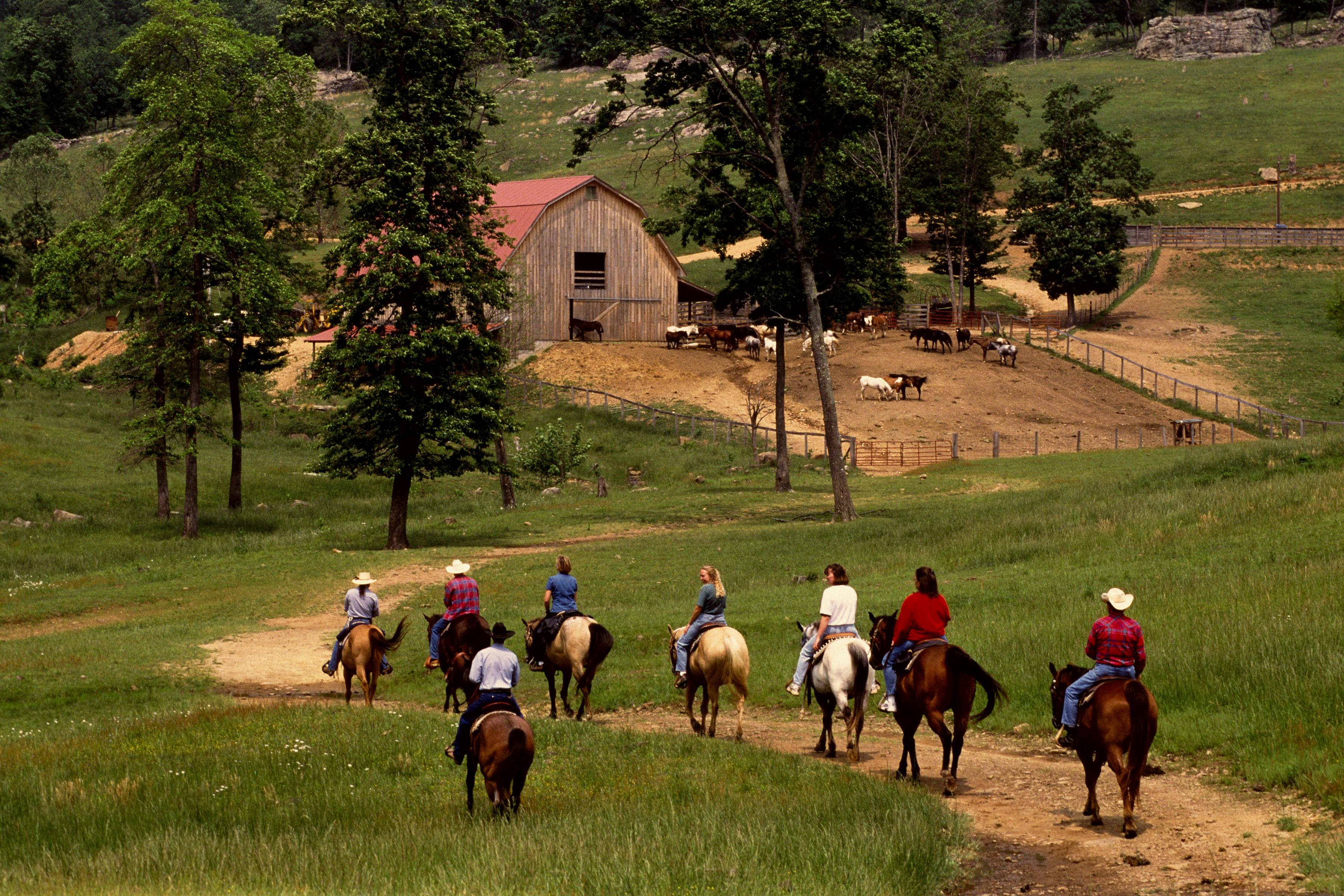 Ranch From Farming To Dipping