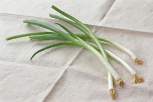 what part of the green onion do you eat 1 1