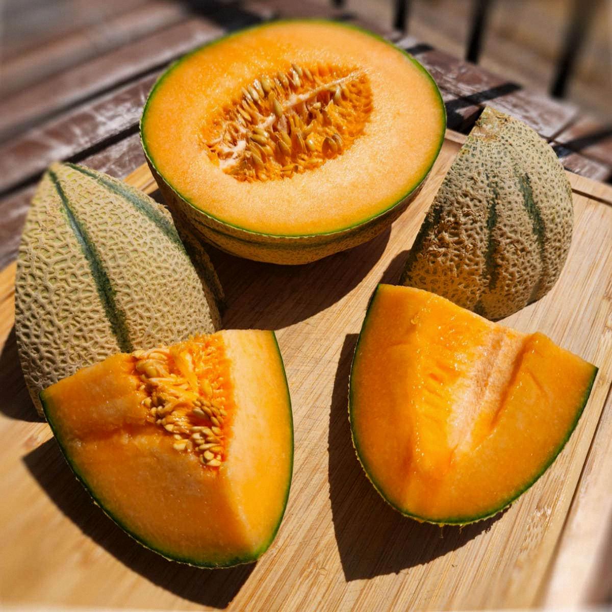 when are cantaloupes in season