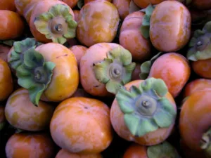 when are persimmons in season 1 1