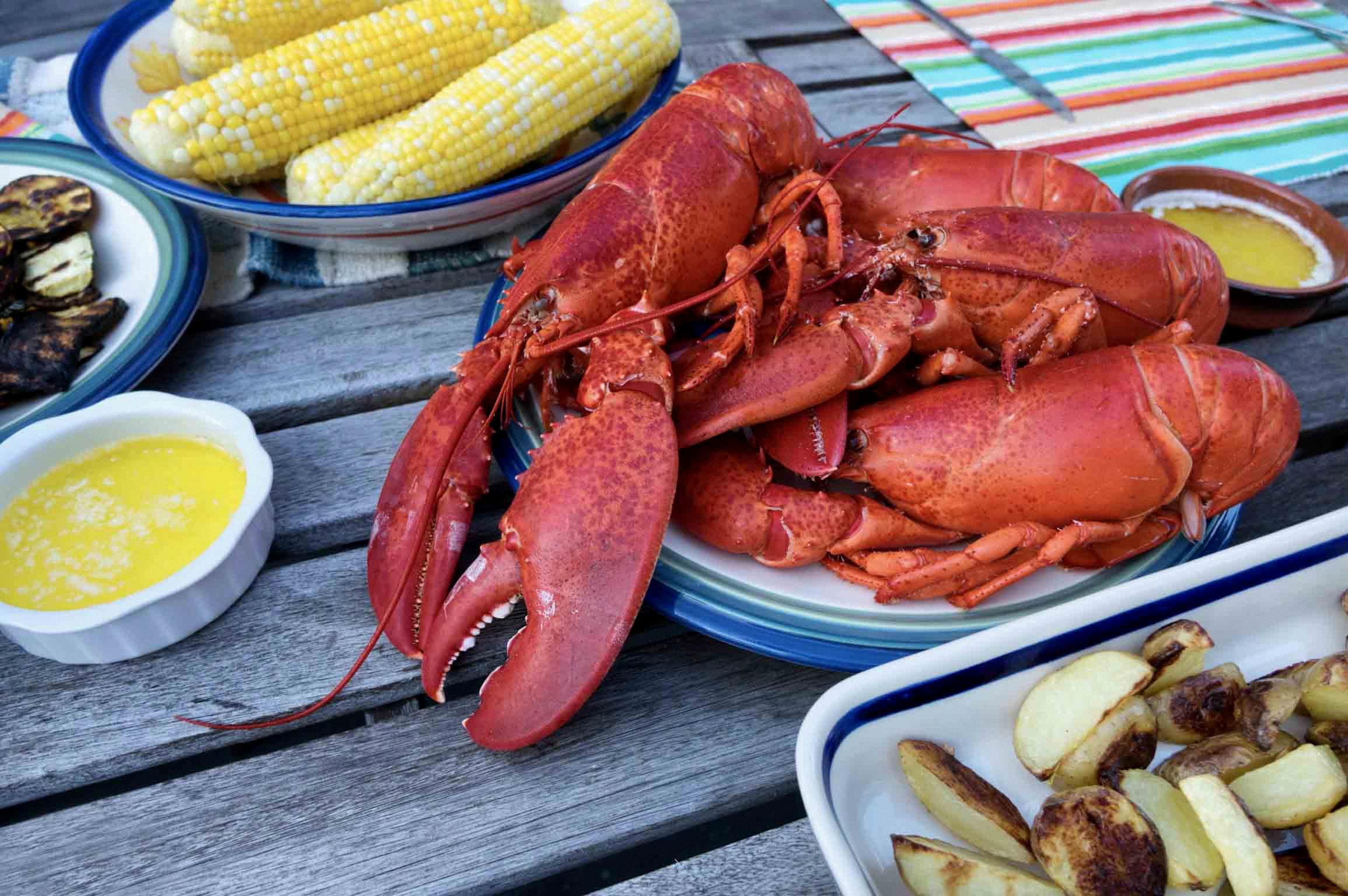 when is lobster season in maine