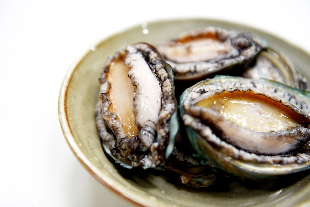 Abalone 1694951878