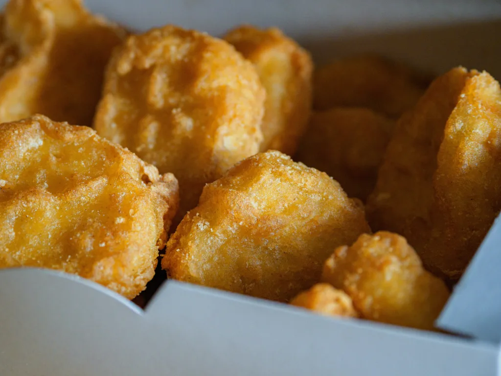 Chicken Nuggets 1693647808