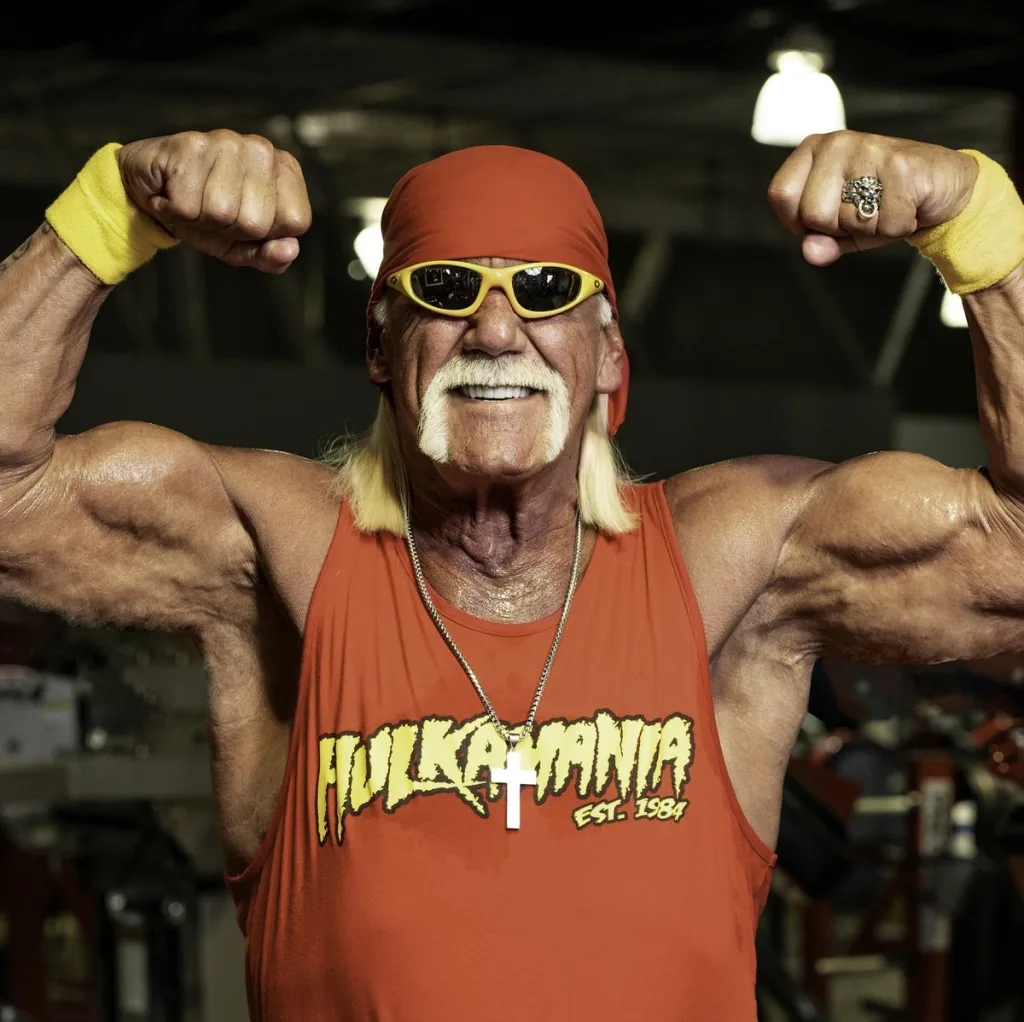 Hulk Hogan 1693735686