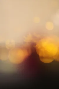 Light 1693756637
