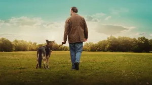 after life netflix 1693762870