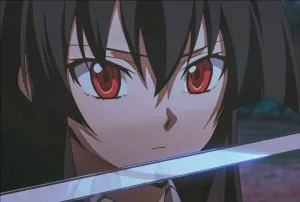 akame akame ga kill 1694255397