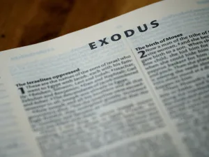 exodus 1693596119