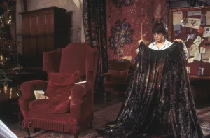 harry potter invisibility cloak 1694290868