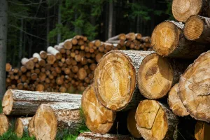 lumber 1694188685