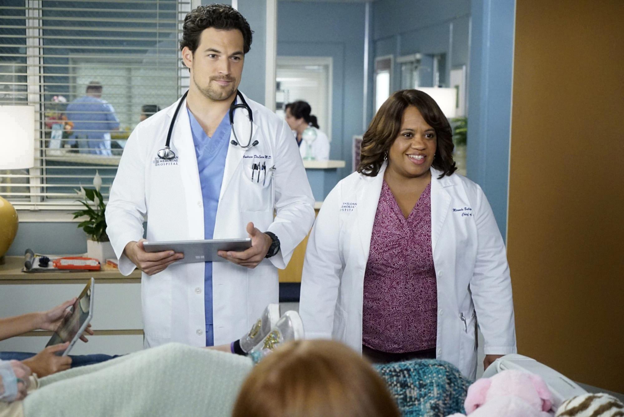 When Will Season 17 Of Grey's Anatomy Be On Netflix