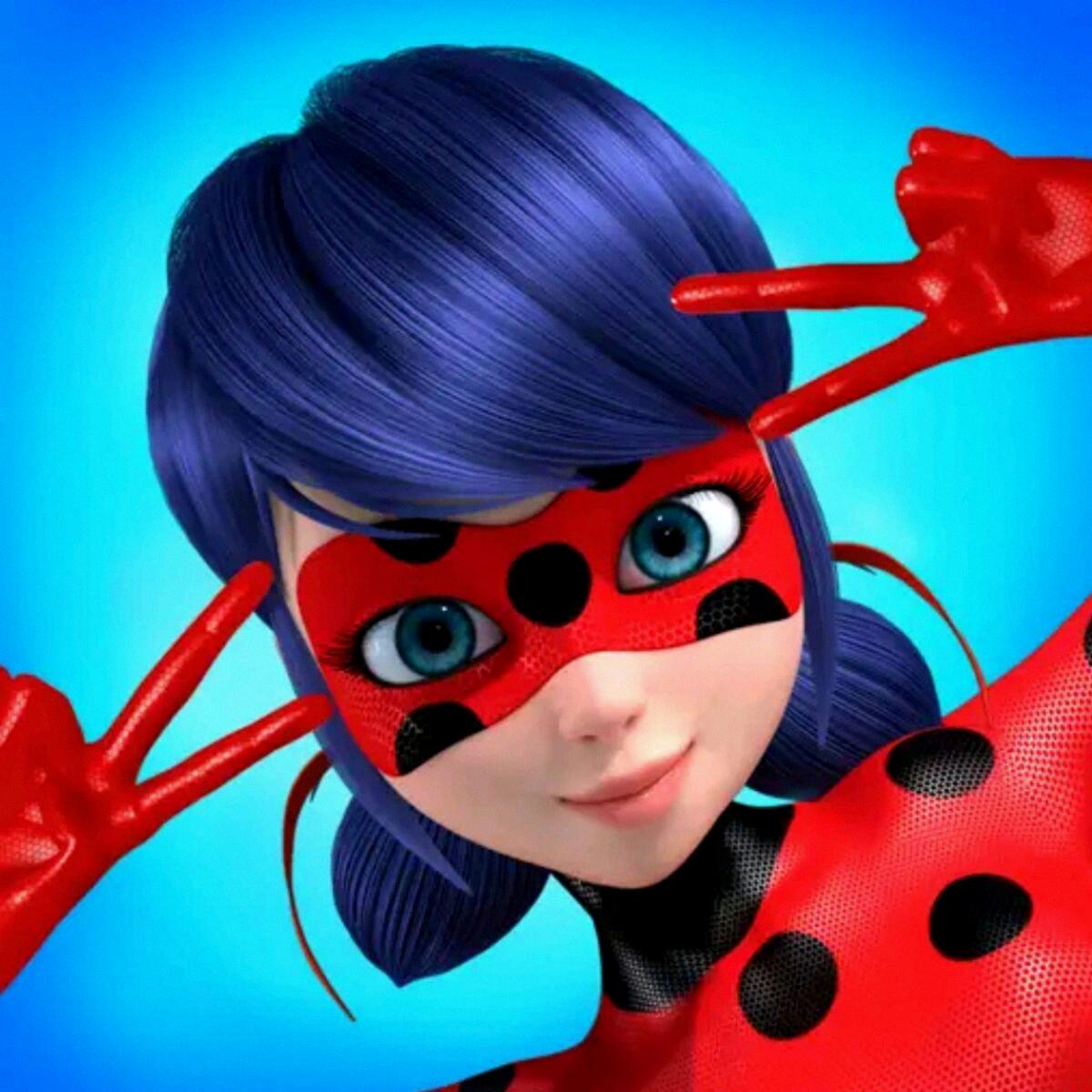 Ladybug the defender of paris