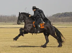 zorro riding horse 1695400953